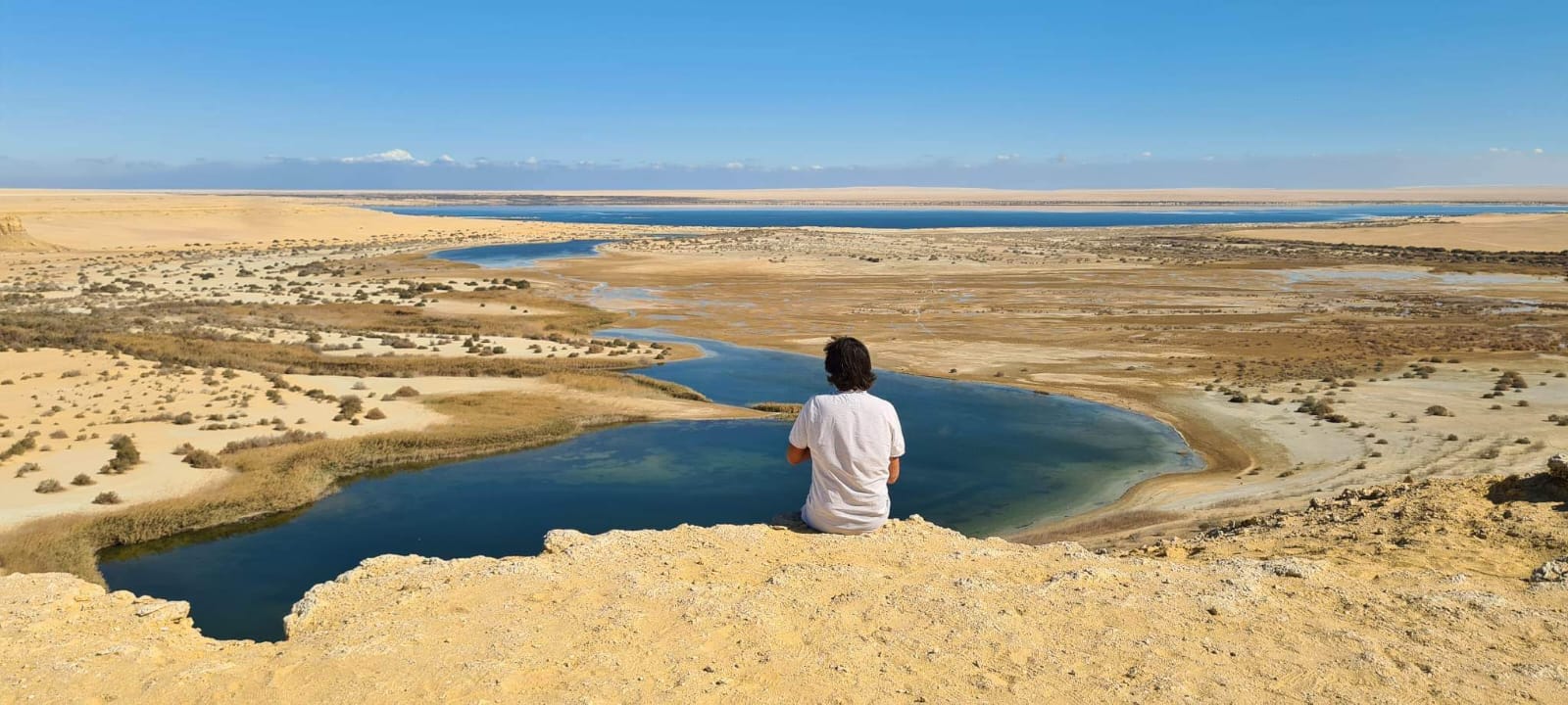 Figure solitaire devant un oasis dans le désert égyptien